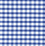 School gingham headbands