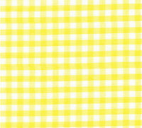 School gingham headbands